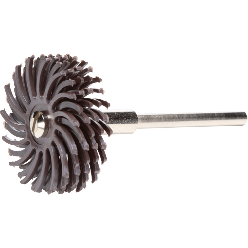Scotch-Brite Radial Bristle Discs, Ceramic, 36X Grit, 1" Dia. Duraquip Inc