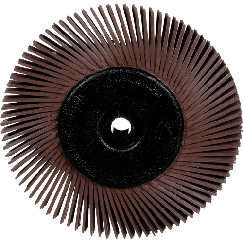 Brosses radiales bristle pour meuleuses d'&eacute;tabli, Grain 36X, 6" dia. Duraquip Inc