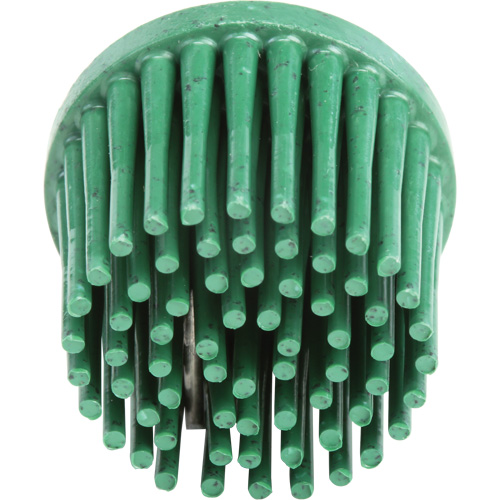 Disques bristle Roloc, Grain 120, 1" dia. Duraquip Inc