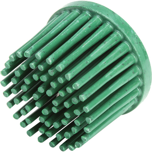 Disques bristle Roloc, C&eacute;ramique, Grain 50, 1" dia. Duraquip Inc