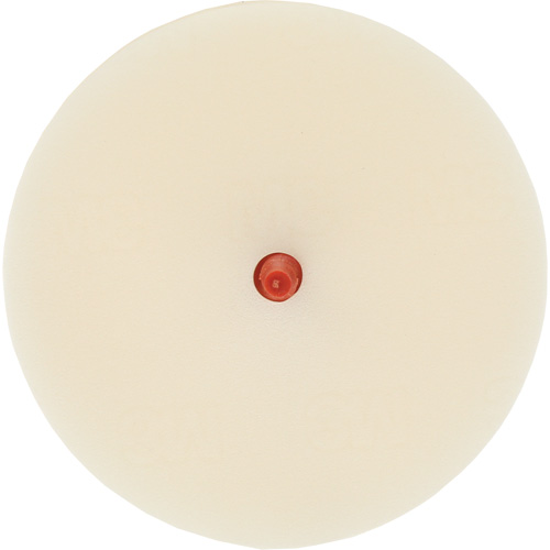 Disque pour enlever les bandes et les adh&eacute;sifs pour moulures Scotch-Brite, 4" dia. Duraquip Inc