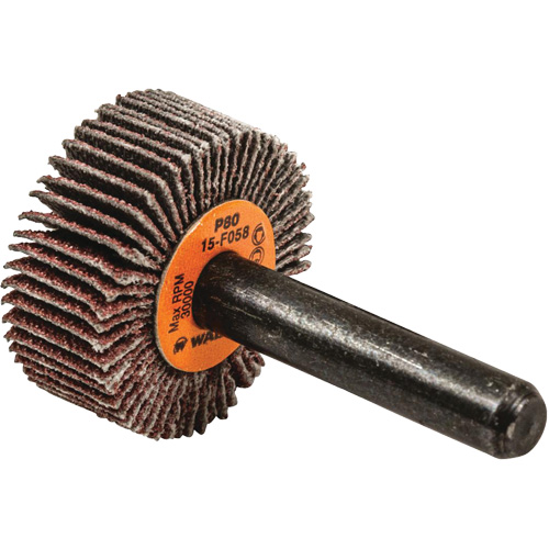 Disques &agrave; lamelles - Meules &agrave; lamelles Coolcut, Oxyde d'aluminium, Grain 80, 1" x 3/8" x 1/4" Duraquip Inc