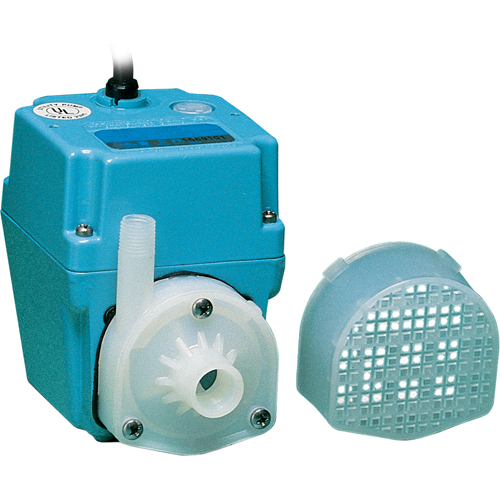 Pompes &agrave; double usage, 1/40 CV, 300 gal./h, 115 V, 1,7 A Duraquip Inc