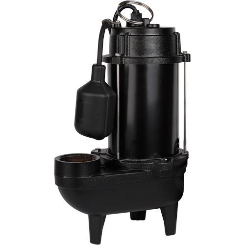 Cast Iron Effluent Pump, 4800 GPH, 120 V, 7.8 A, 1/2 HP Duraquip Inc