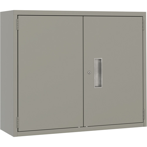 Wall Mounted Cabinet, Steel, 2 Shelves, 30" H x 36" W x 12" D, Grey Duraquip Inc