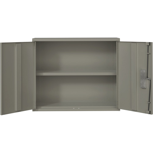 Wall Mounted Cabinet, Steel, 2 Shelves, 30" H x 36" W x 12" D, Grey Duraquip Inc