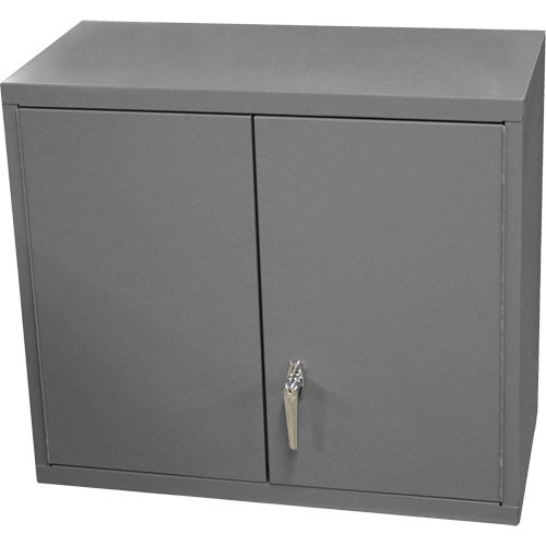 Armoire murale, 27" h x 13-11/16" la x 35-7/8" p, 2 tablettes, Acier, Gris Duraquip Inc
