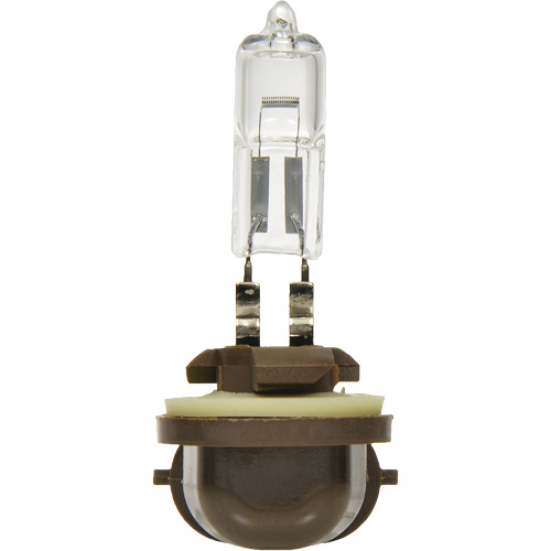 886 Basic Fog Light Bulb, Halogen, 50 W, Off White Duraquip Inc
