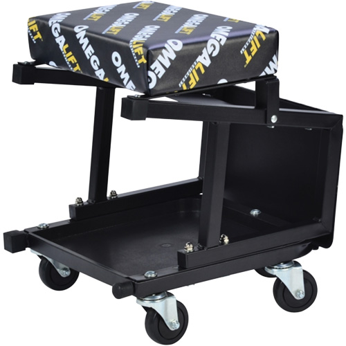 2-in-1 Seat-Stool Combo Duraquip Inc