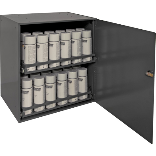 Aerosol Storage Cabinet, Steel, 21-7/8" H x 15-15/16" W x 20-5/16" D, Grey Duraquip Inc
