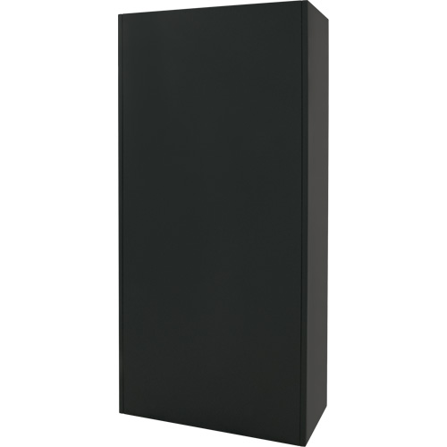 Combination Storage Cabinet, 36" W x 18" D x 72" H, Black Duraquip Inc