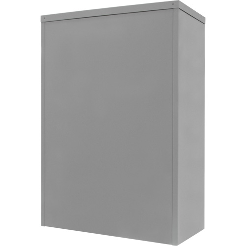 Armoire de rangement &agrave; hauteur de comptoir, Acier, 2 Tablettes, 42" h x 36" la x 24" P, Gris Duraquip Inc
