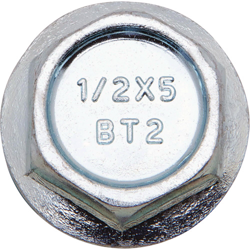 Wedge Bolts, Carbon Steel, 1/2" x 6" Duraquip Inc