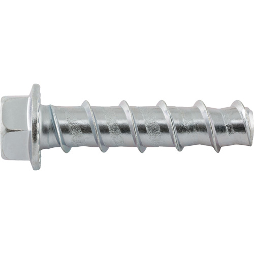 Wedge Bolts, Carbon Steel, 1/2" x 2-1/2" Duraquip Inc