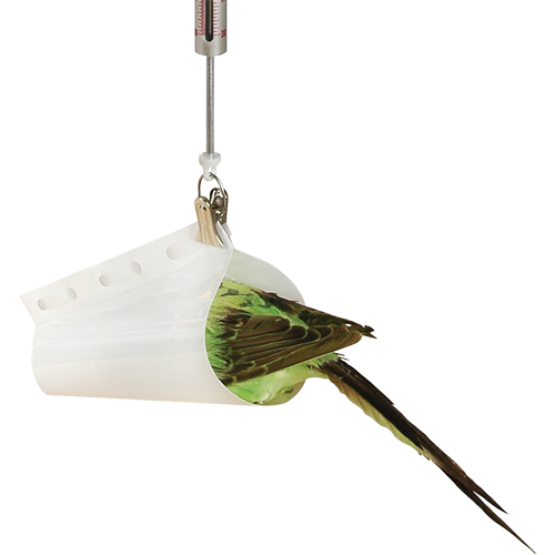 Micro Spring Scale Accessory - Bird Weighing Cone Duraquip Inc