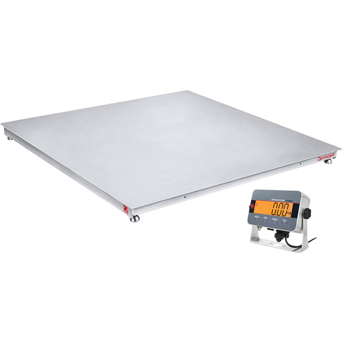 DEFENDER 3000 Floor Scale, 2500 lbs. Capacity, 48" W x 48" L Duraquip Inc
