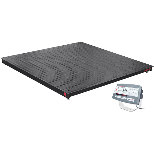 DEFENDER 5000 Floor Scale, 2500 lbs. Capacity, 48" W x 48" L Duraquip Inc
