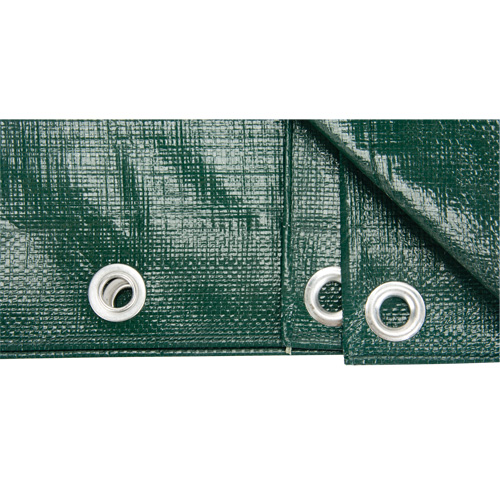 B&acirc;che, Robuste, Vert, 10' x 8' x 9 mils Duraquip Inc