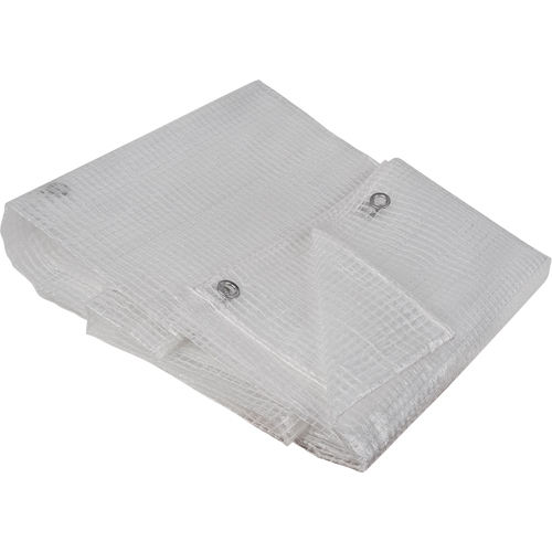 B&acirc;ches transparentes, 60' x 40' x 8 mils Duraquip Inc