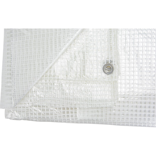 B&acirc;ches transparentes, 60' x 40' x 8 mils Duraquip Inc