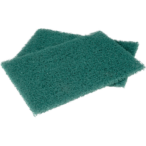 Tampons manuels Scotch-Brite, &agrave; r&eacute;curer, 6" la x 9" l Duraquip Inc
