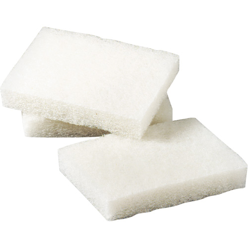Tampon &agrave; r&eacute;curer pour petits travaux Scotch-Brite, 5" lo x 3-1/2" la Duraquip Inc