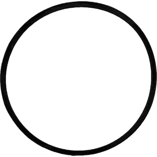 Replacement Brush Drive Belt Duraquip Inc