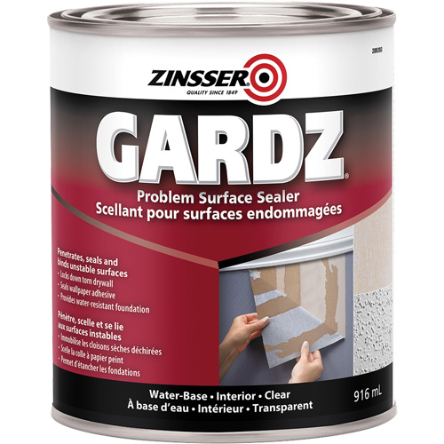 Scellant de surface &agrave; probl&egrave;mes Gardz, 3,61 L, Canette, Transparent Duraquip Inc