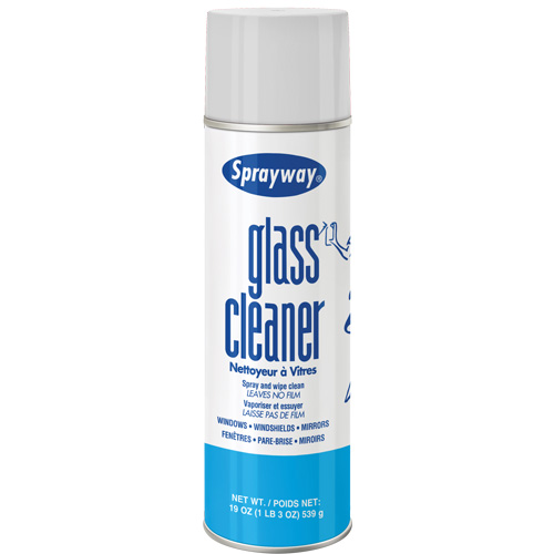 Glass Cleaner, 20 oz., Aerosol Can Duraquip Inc