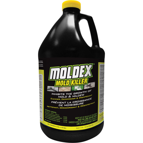 Moldex&reg; Mold Killer, 3.78 L, Jug Duraquip Inc