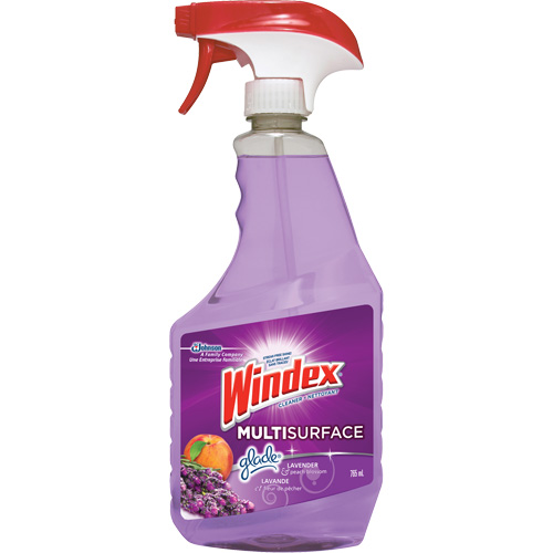Windex&reg; Multi-Surface Cleaner, 765 ml, Trigger Bottle Duraquip Inc
