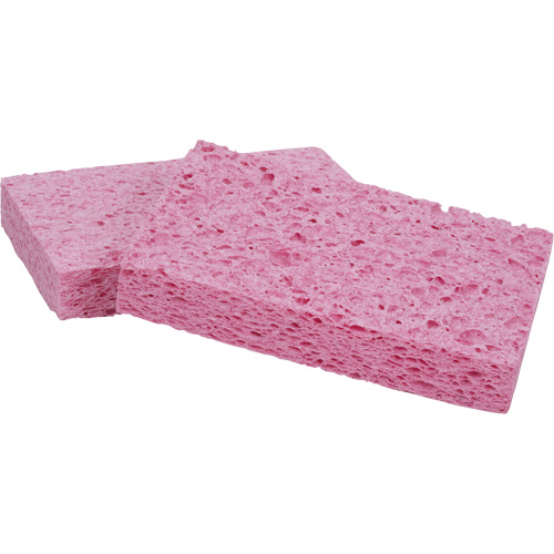 Scotch-Brite Sponge, Cellulose/Grouting/Scrubbing, 3-2/3" W x 6" L Duraquip Inc