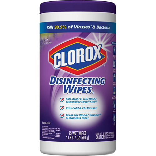 Disinfecting Wipes, 75 Count Duraquip Inc