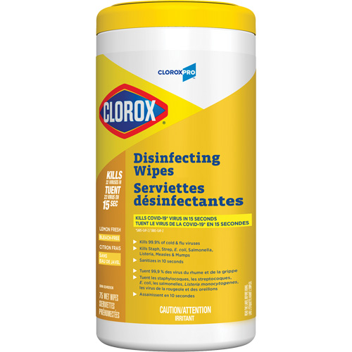 Disinfecting Wipes, 75 Count Duraquip Inc