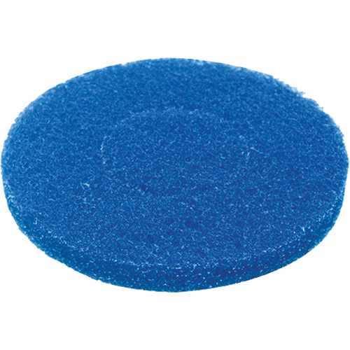 Floor Pad, Cleaning, Blue Duraquip Inc