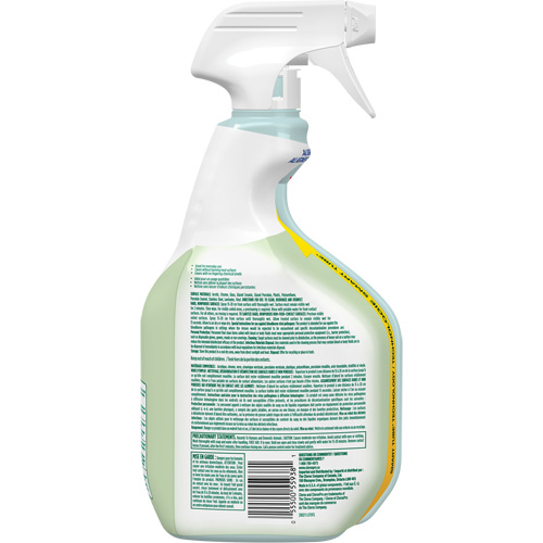 Nettoyant d&eacute;sinfectant CloroxPro Clorox EcoClean, 946 ml, Bouteille &agrave; g&acirc;chette Duraquip Inc