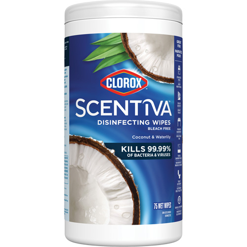 Disinfecting Wipes, 75 Count Duraquip Inc