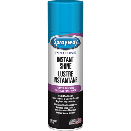 Brillant instantan&eacute; Pro Line pour surfaces en plastique, 11 oz, Canette a&eacute;rosol Duraquip Inc