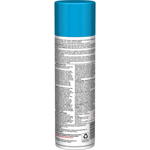 Nettoyant tout usage Pro Line Crazy Clean, 19 oz., Canette a&eacute;rosol Duraquip Inc