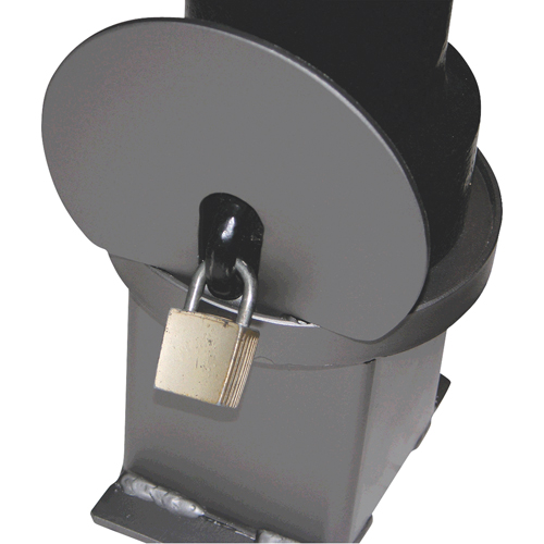 Bornes d&eacute;coratives amovibles, Acier, 40" h x 4-1/2" la, Noir Duraquip Inc