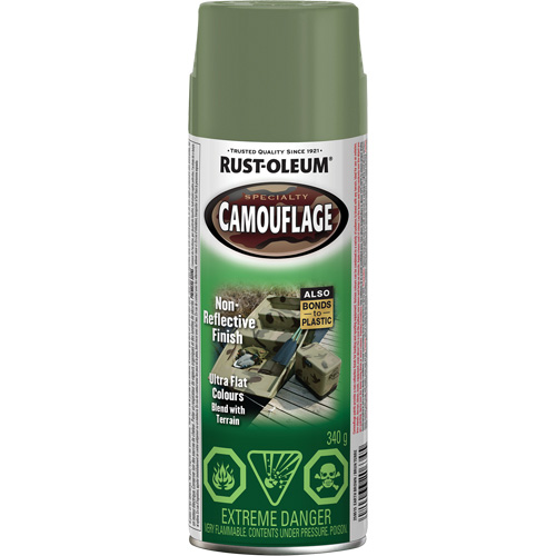 Peinture de camouflage Sp&eacute;cialit&eacute;, Canette a&eacute;rosol, Brun terre Duraquip Inc