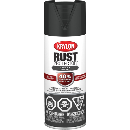 Rust Protector&reg; Enamel Paint, Black, Very Flat, 12 oz., Aerosol Can Duraquip Inc