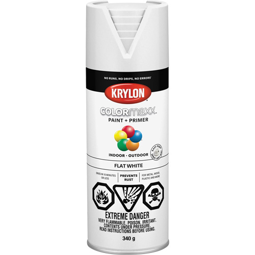 Appr&ecirc;t + peinture COLORmaxx, Blanc, Tr&egrave;s mat, 12 oz, Canette a&eacute;rosol Duraquip Inc