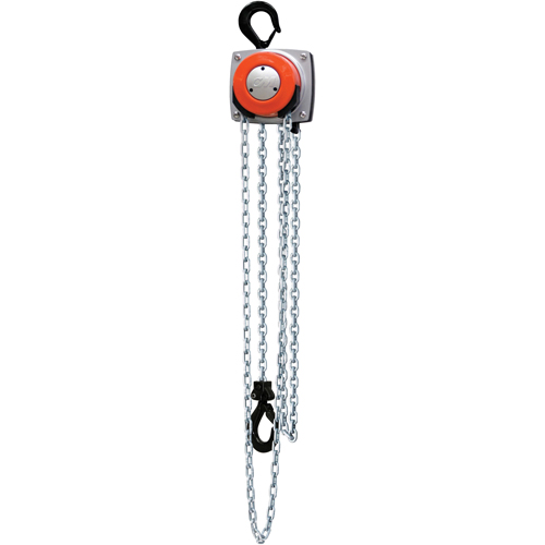 Hurricane 360° Chain Hoist, 10' Lift, 1000 lbs. (0.5 tons) Capacity, Steel Chain Duraquip Inc