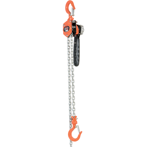 Mini Lever Hoist, 10' Lift, 500 lbs. (0.25 tons) Capacity, Steel Chain Duraquip Inc