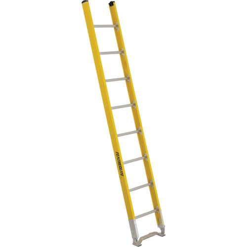 Single Section Straight Ladder - 6100 Series, 8', Fibreglass, 375 lbs., CSA Grade 1AA Duraquip Inc