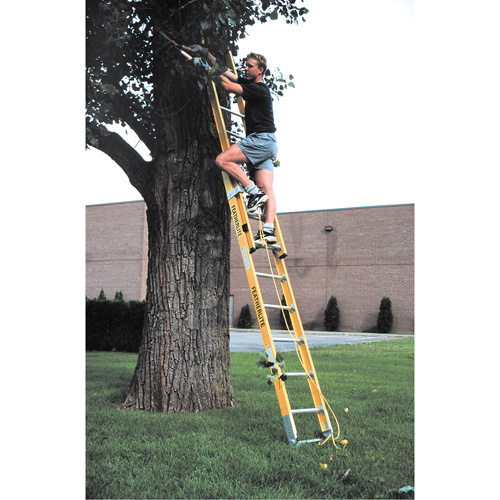 Industrial Heavy-Duty Extension Ladders (6200 Series), 375 lbs. Cap., 13' H, Grade 1AA Duraquip Inc