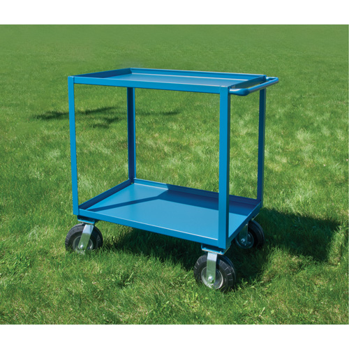 Outdoor Shelf Cart, 2 Tiers, 24" W x 39" H x 51" D, 1200 lbs. Capacity Duraquip Inc