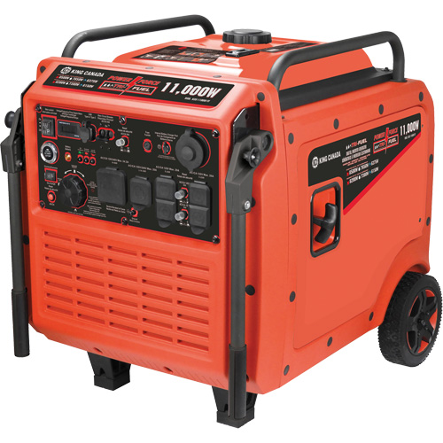 Tri-Fuel Inverter Generator Duraquip Inc