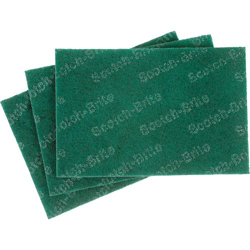 Tampons manuels Scotch-Brite, 9" lo x 6" la Duraquip Inc